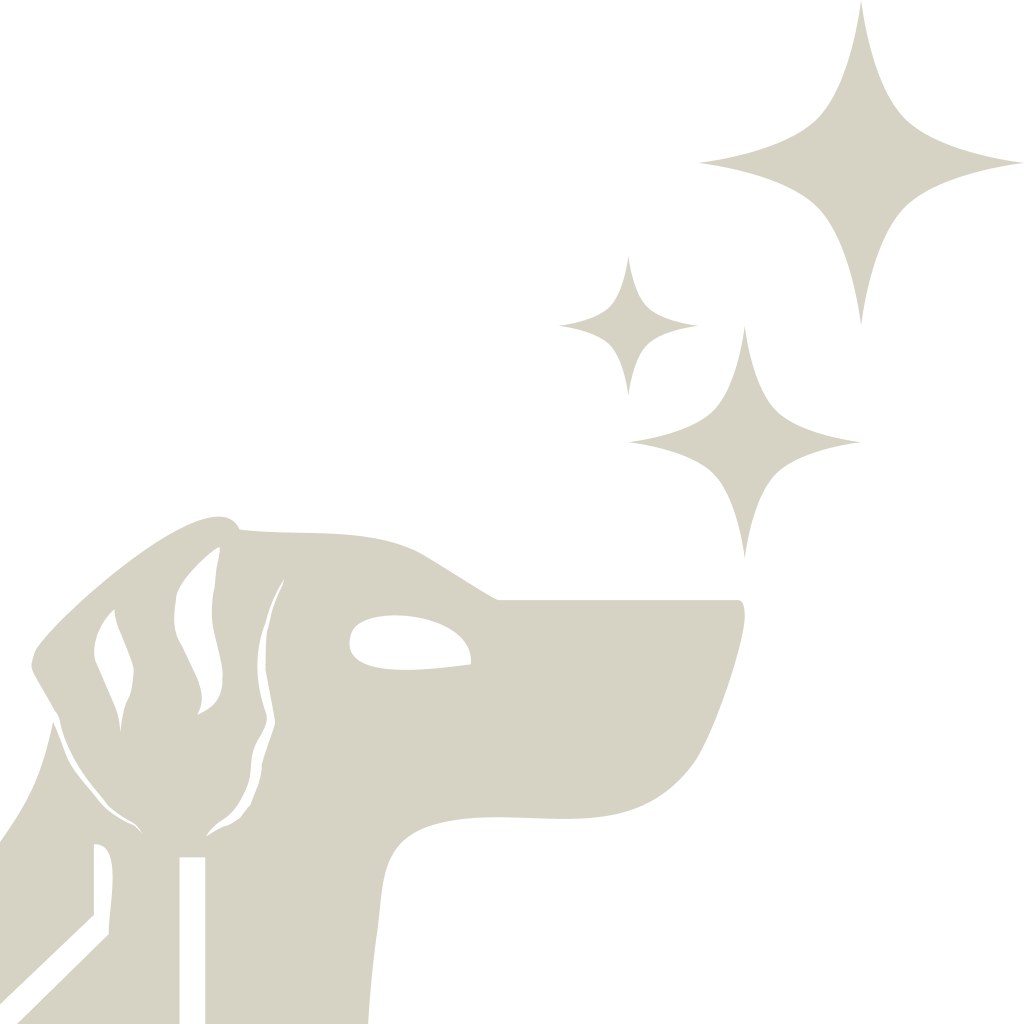 Pointer Commerce